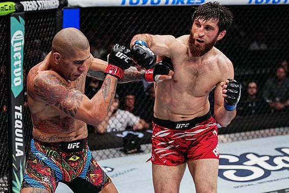 Com Ulberg lesionado, UFC avalia Ankalaev contra Prochazka pelo topo dos meio-pesados