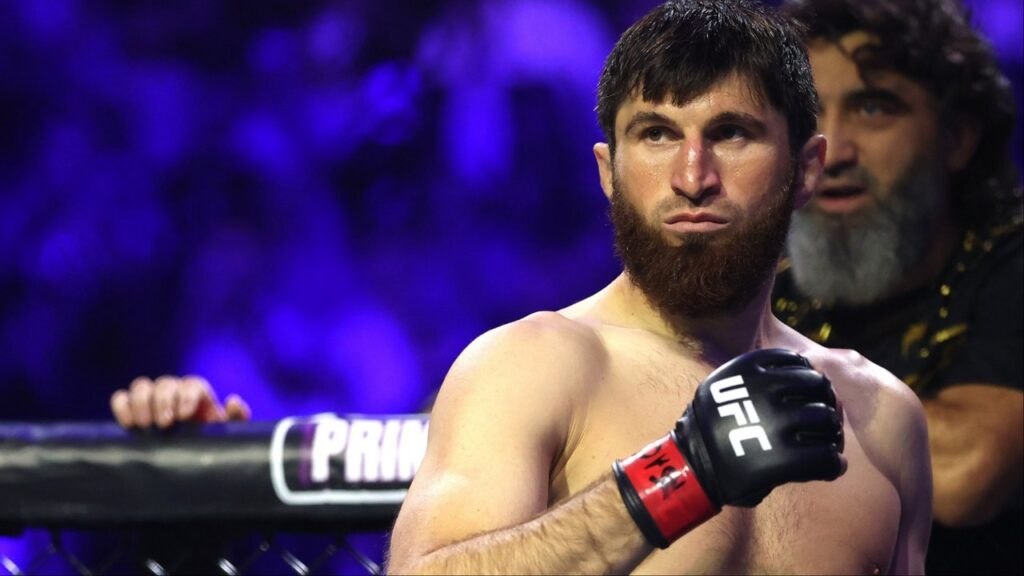 Empresário de Ankalaev pressiona por duelo com Paulo Costa nos meio-pesados